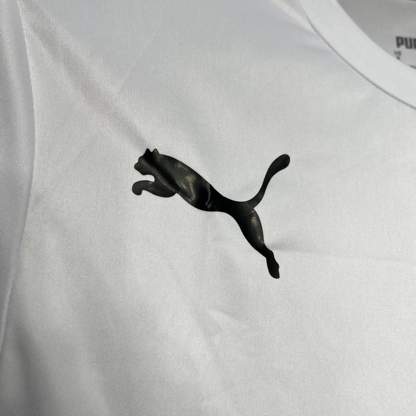 CAMISETA ALEMANIA EDICIÓN ESPECIAL I 24/25 HOMBRE