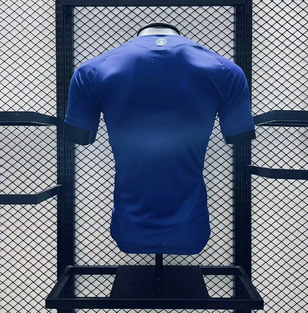CAMISETA ARGENTINA COPA AMÉRICA II 2024 HOMBRE (VERSIÓN JUGADOR)