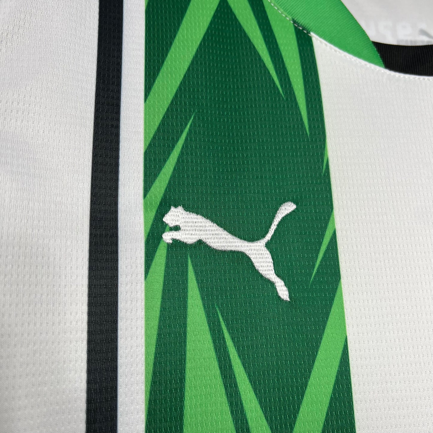 CAMISETA BORUSSIA MONCHENGLADBACH I 24/25 HOMBRE