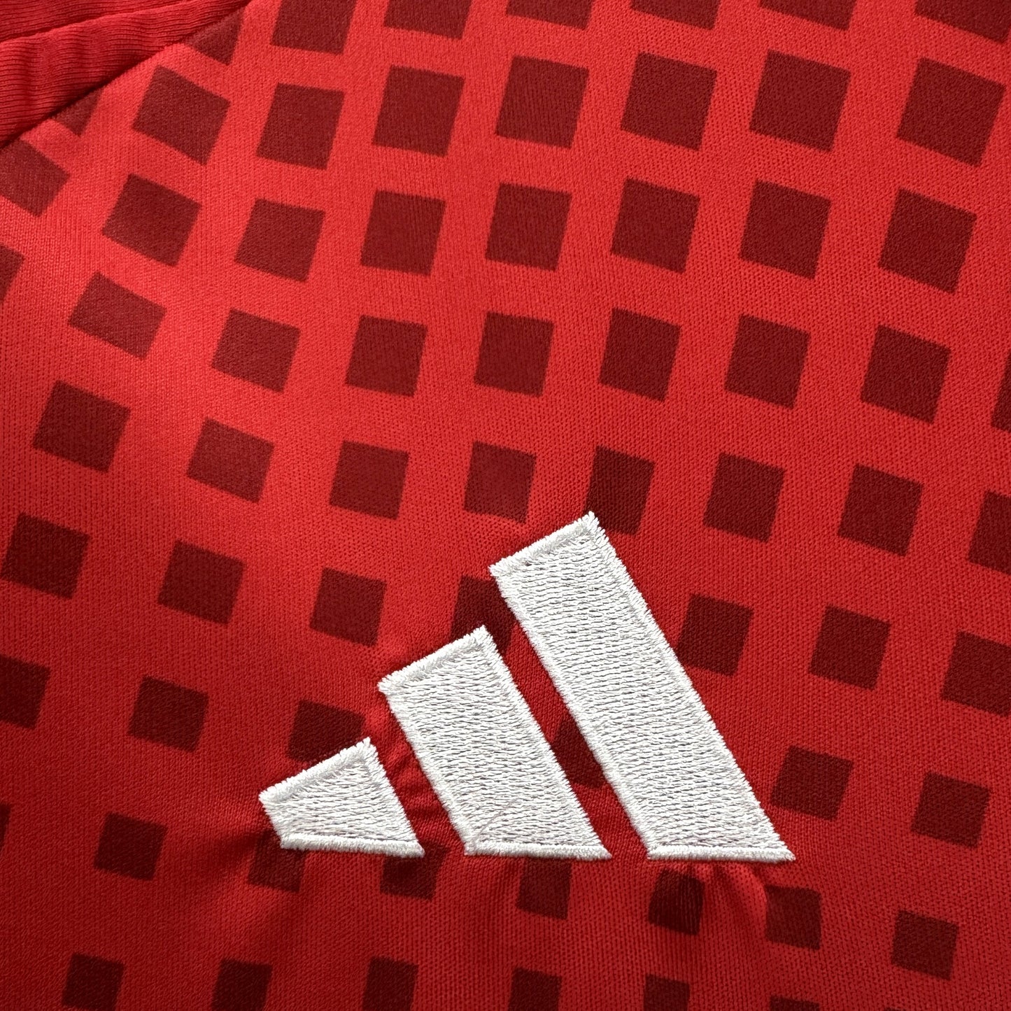 CAMISETA CHILE COPA AMÉRICA I 2024 HOMBRE