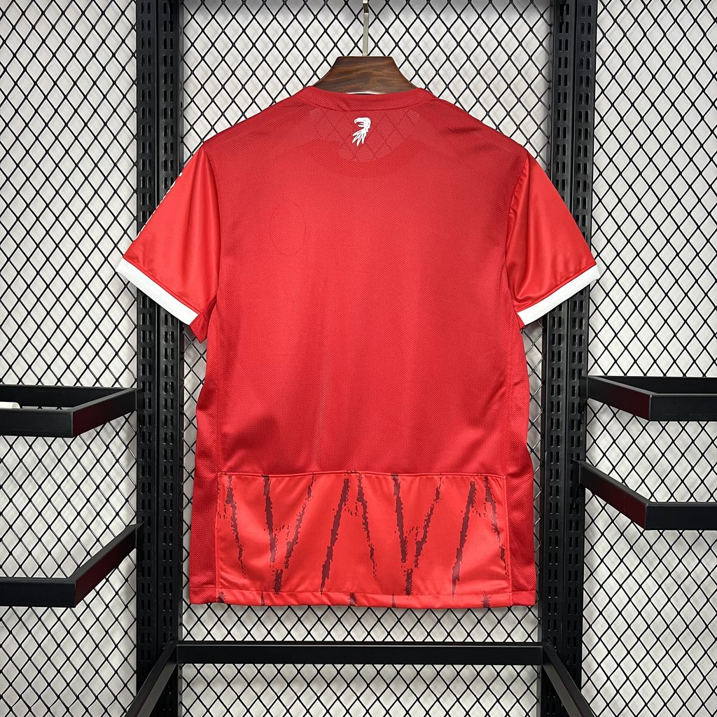 CAMISETA FREIBURG I 24/25 HOMBRE