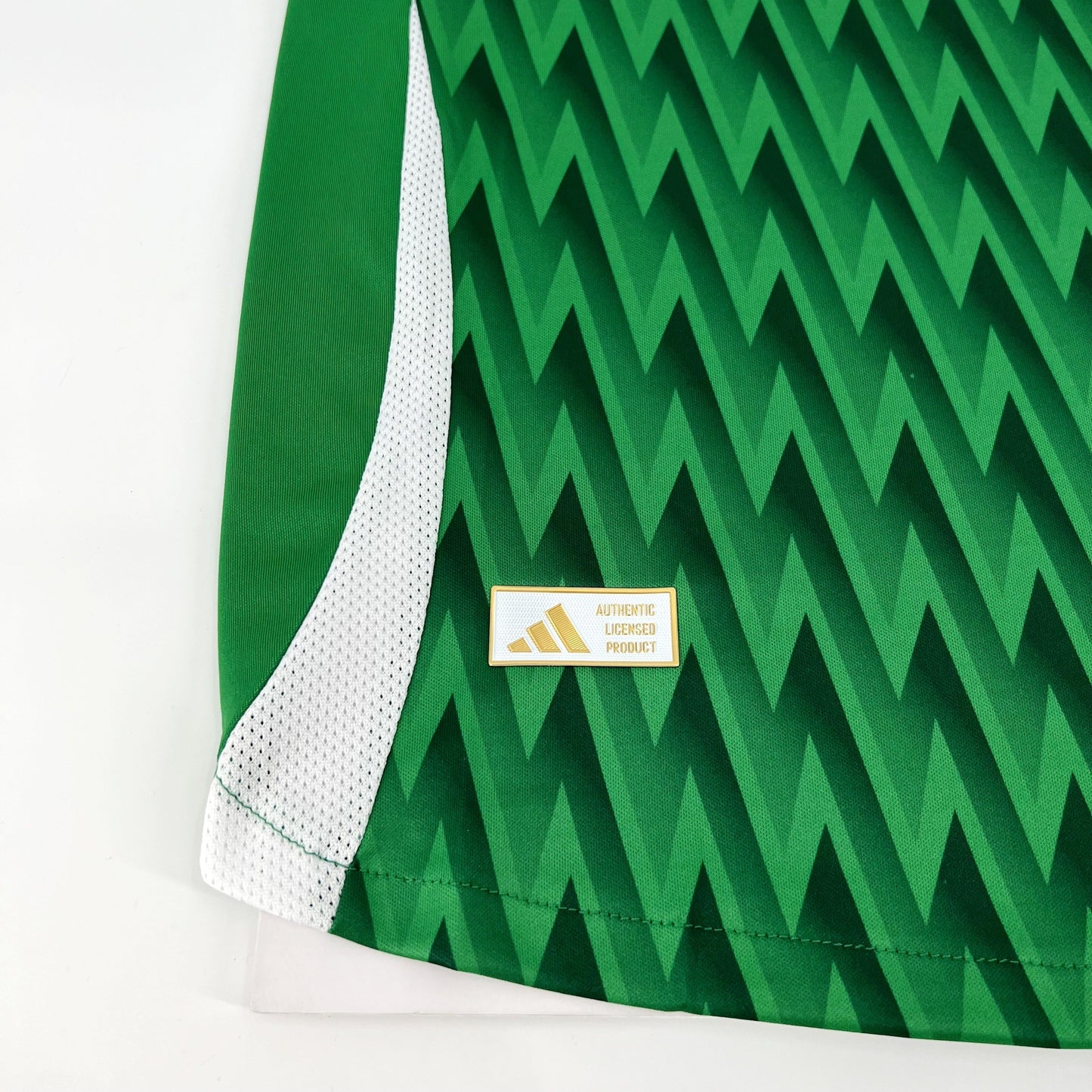 CAMISETA PALMEIRAS EDICIÓN ESPECIAL I 24/25 HOMBRE