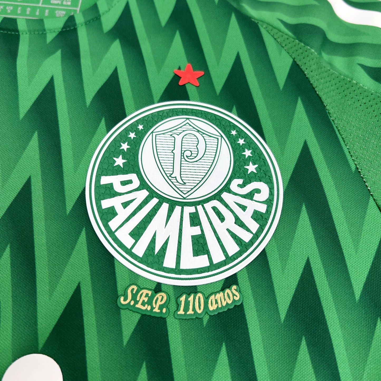 CAMISETA PALMEIRAS EDICIÓN ESPECIAL I 24/25 HOMBRE