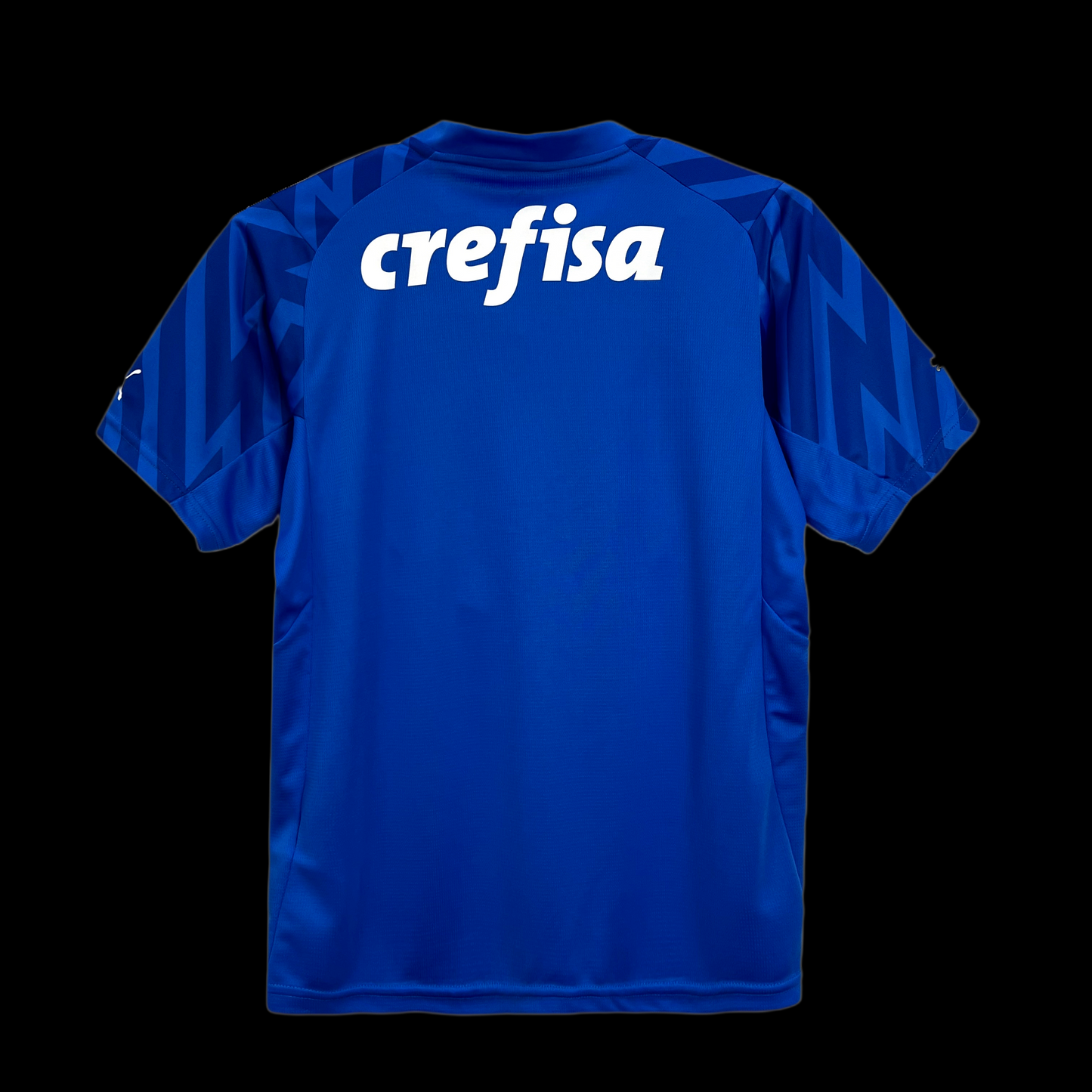 CAMISETA PALMEIRAS PORTERO I 24/25 HOMBRE