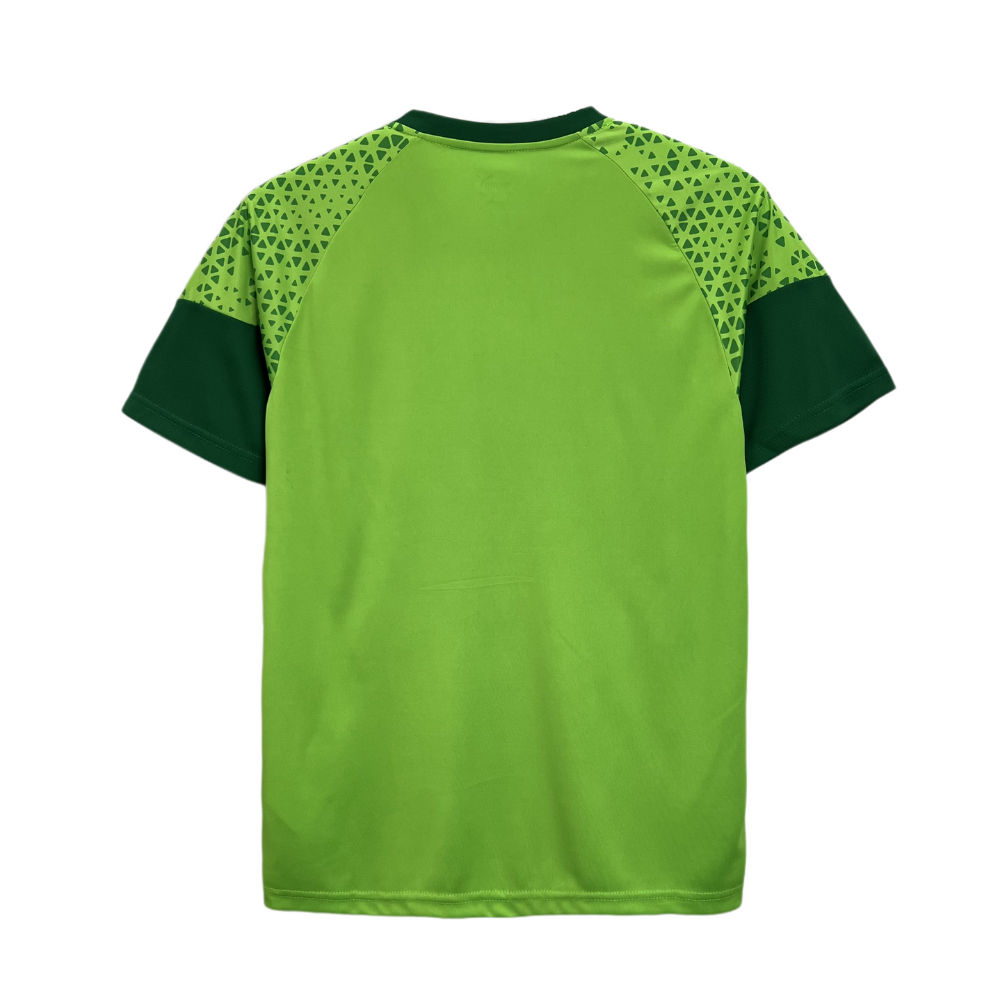 CAMISETA PALMEIRAS ENTRENAMIENTO I 24/25 HOMBRE
