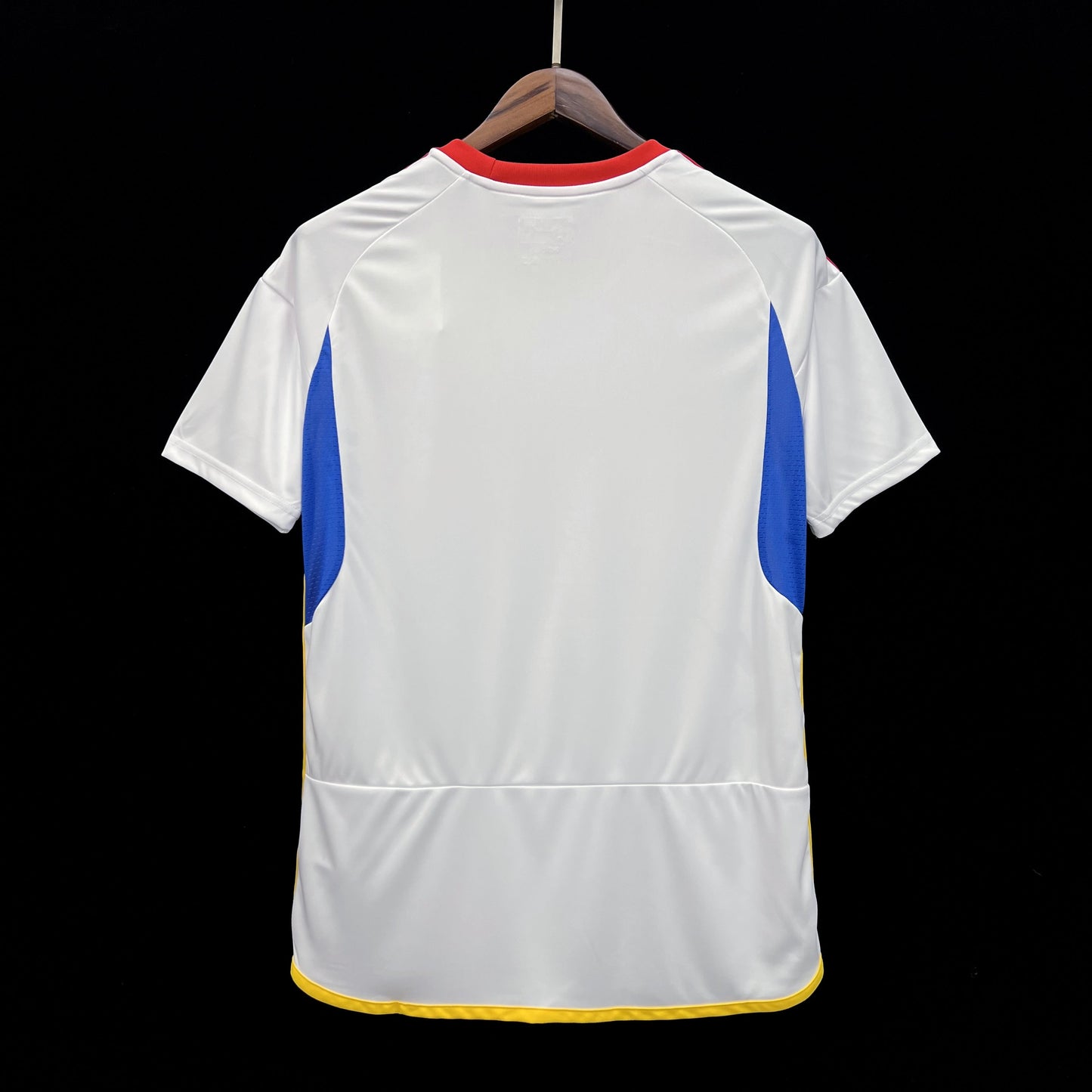 CAMISETA VENEZUELA COPA AMÉRICA II 2024 HOMBRE