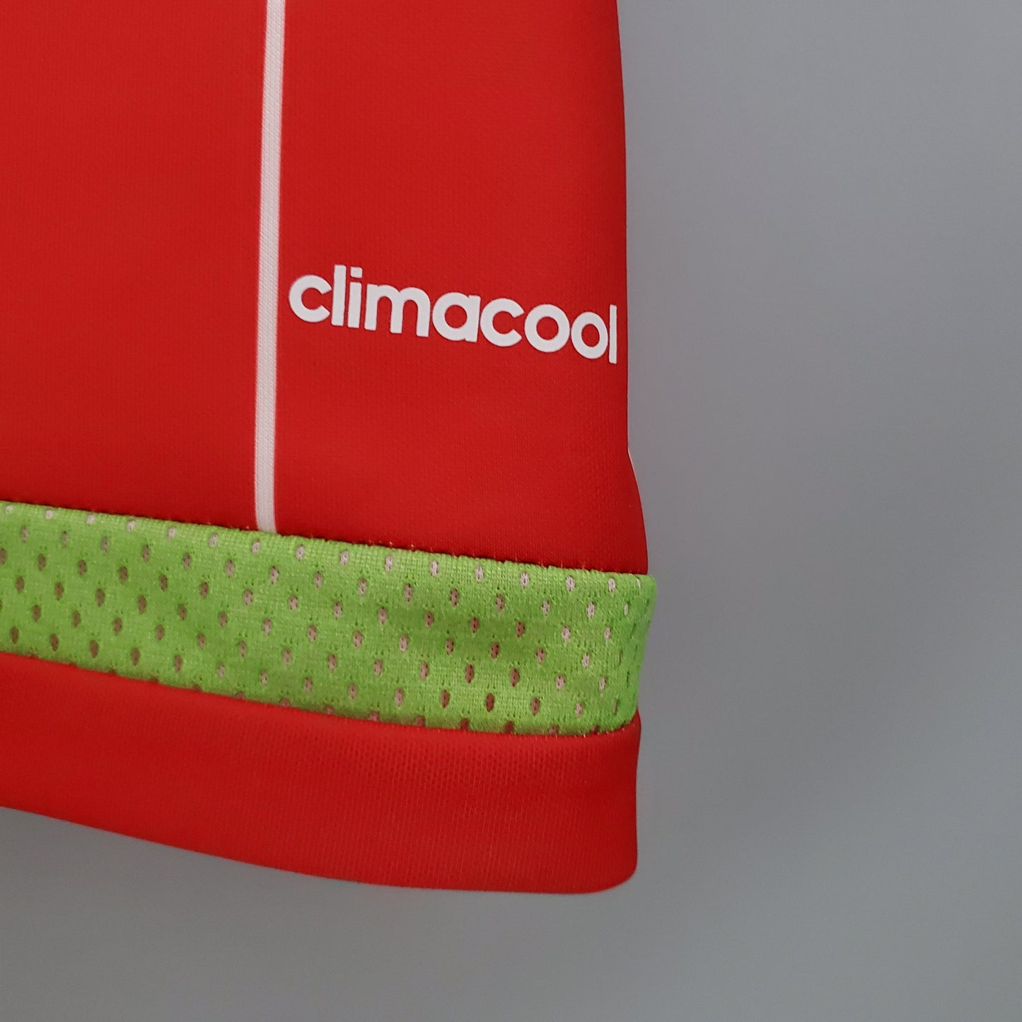 CAMISETA PAÍS DE GALES I 2015 HOMBRE (RETRO)