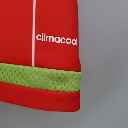 CAMISETA PAÍS DE GALES I 2015 HOMBRE (RETRO)