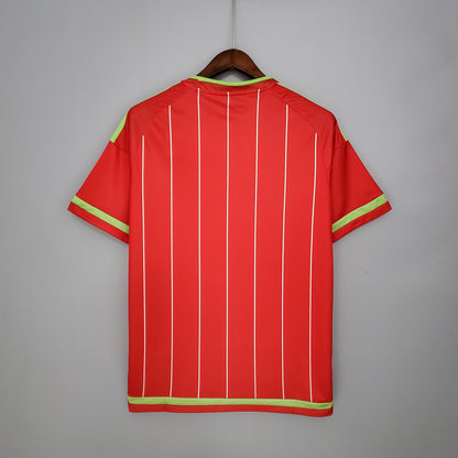 CAMISETA PAÍS DE GALES I 2015 HOMBRE (RETRO)