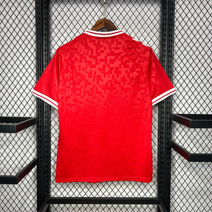 CAMISETA DINAMARCA EURO I 2024 HOMBRE