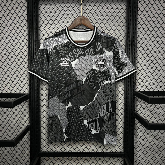 CAMISETA DINAMARCA ENTRENAMIENTO I 2024 HOMBRE