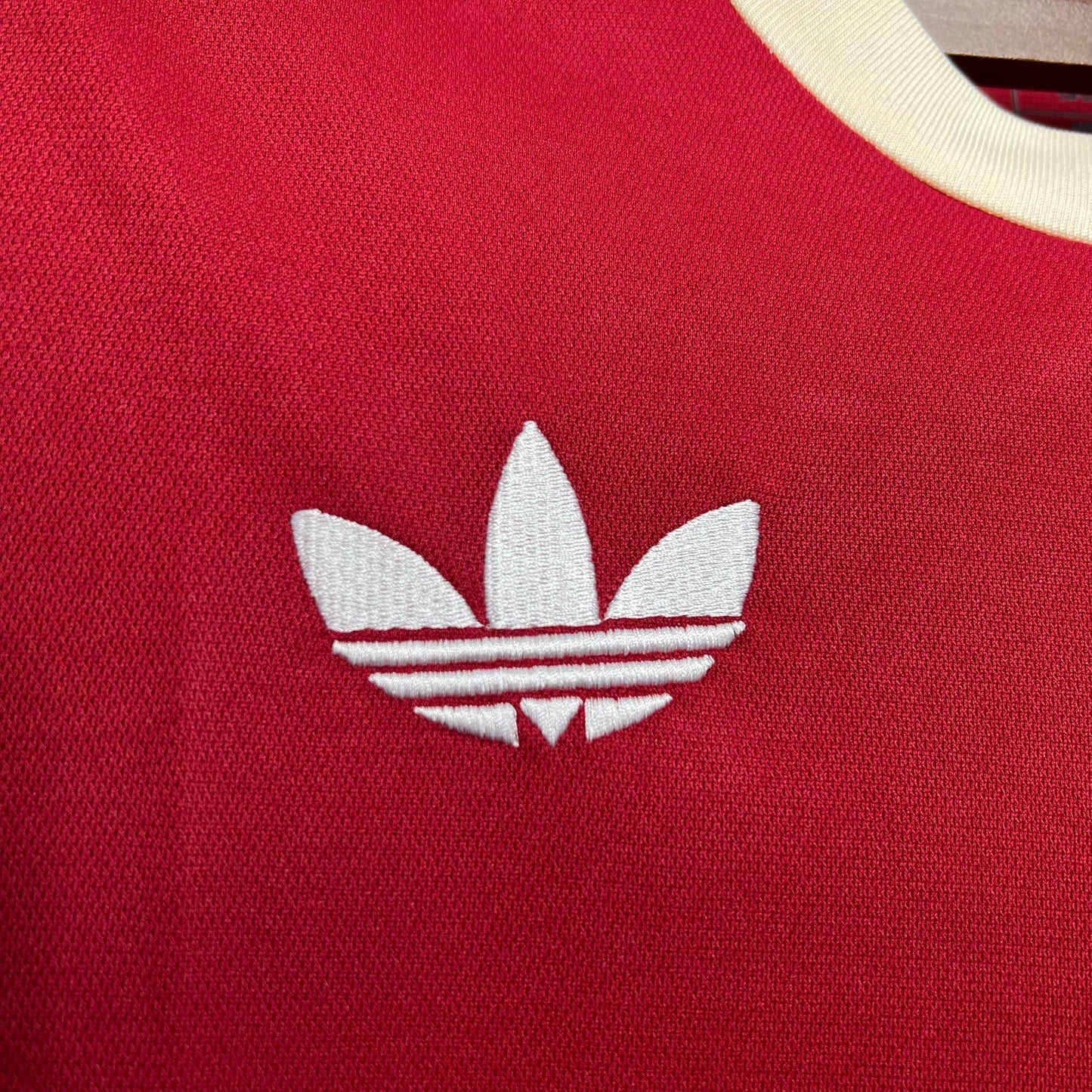 CAMISETA MEXICO EDICIÓN ESPECIAL I 2024 HOMBRE