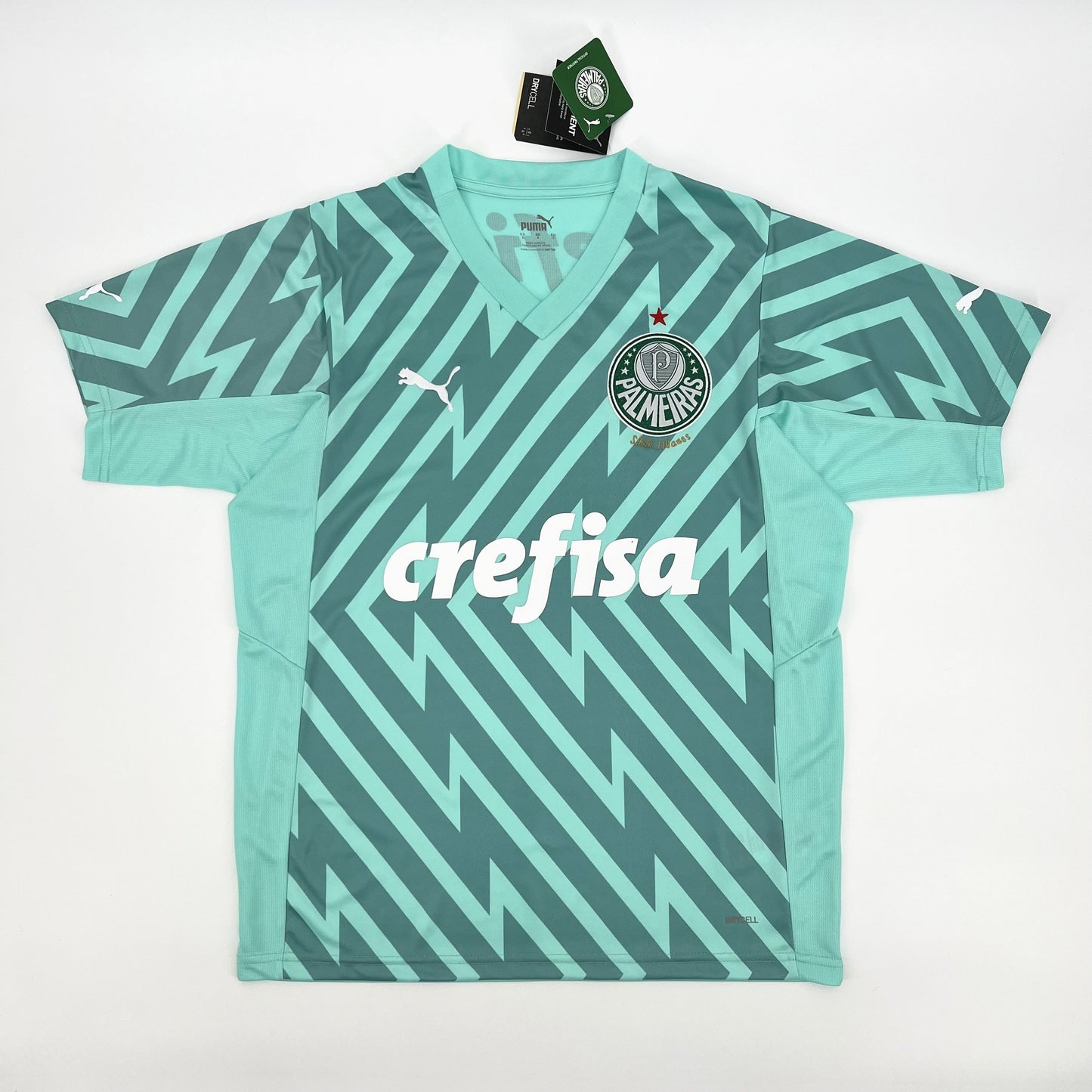 CAMISETA PALMEIRAS PORTERO III 24/25 HOMBRE