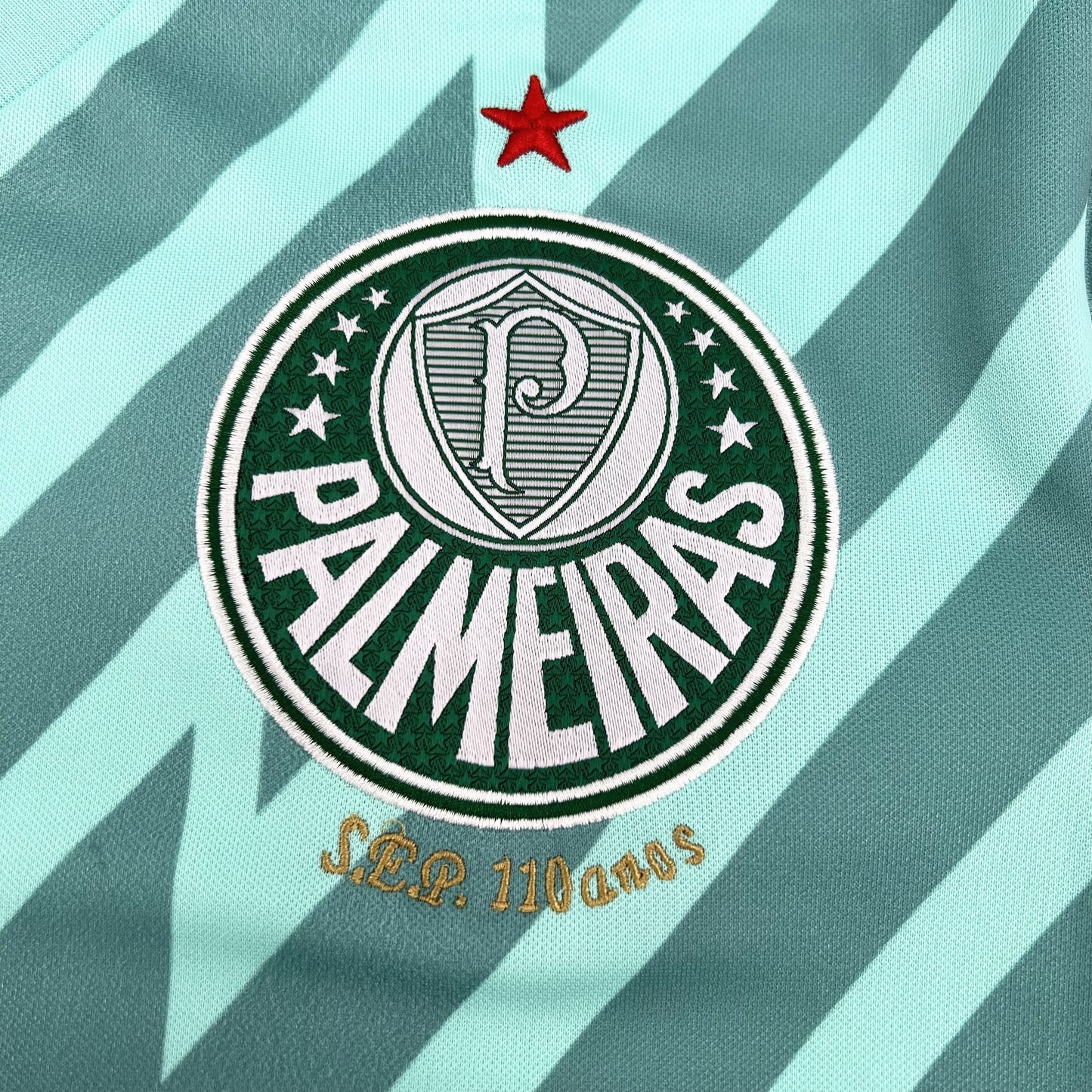 CAMISETA PALMEIRAS PORTERO III 24/25 HOMBRE