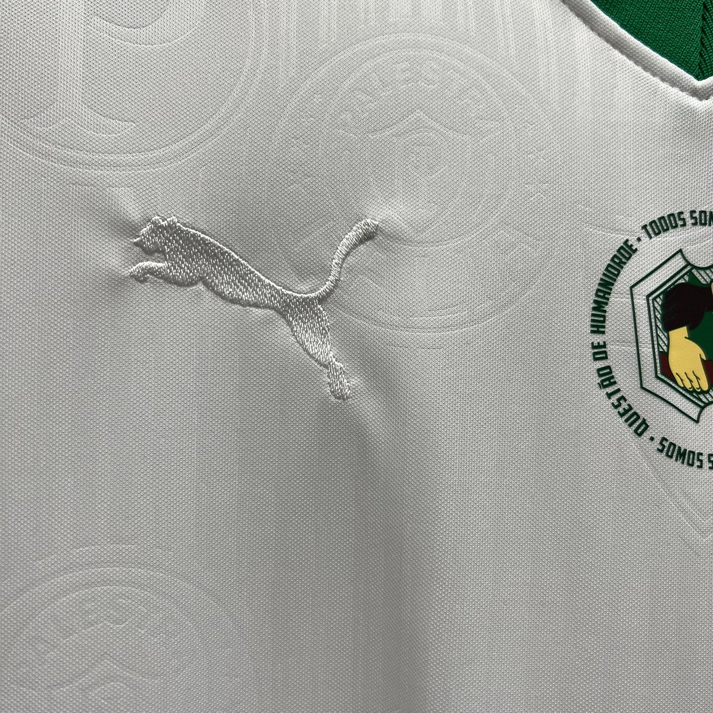 CAMISETA PALMEIRAS EDICIÓN LIMITADA BLANCA 24/25 HOMBRE