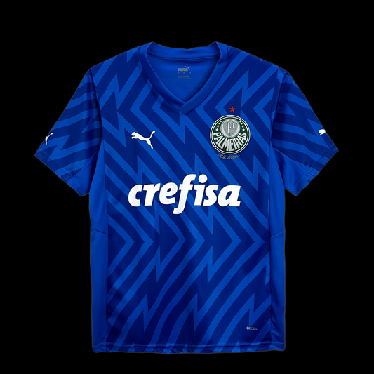 CAMISETA PALMEIRAS PORTERO I 24/25 HOMBRE