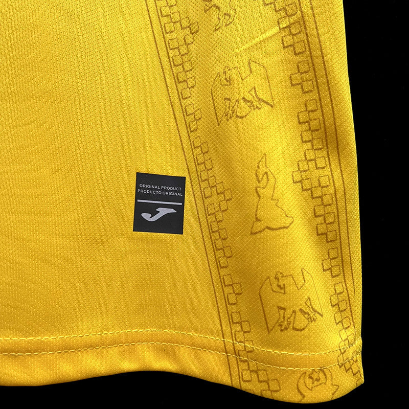 CAMISETA RUMANIA I 2024 HOMBRE